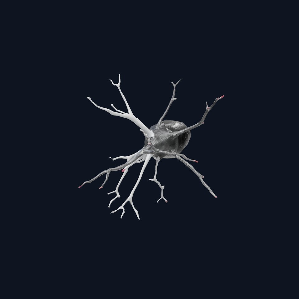 Intricate Neuron Structure model pack